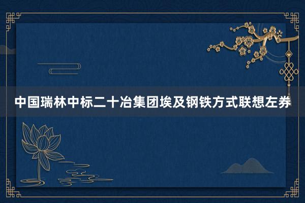 中国瑞林中标二十冶集团埃及钢铁方式联想左券