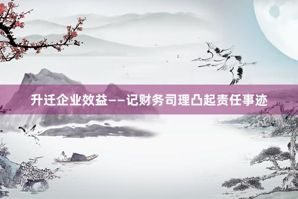 升迁企业效益——记财务司理凸起责任事迹