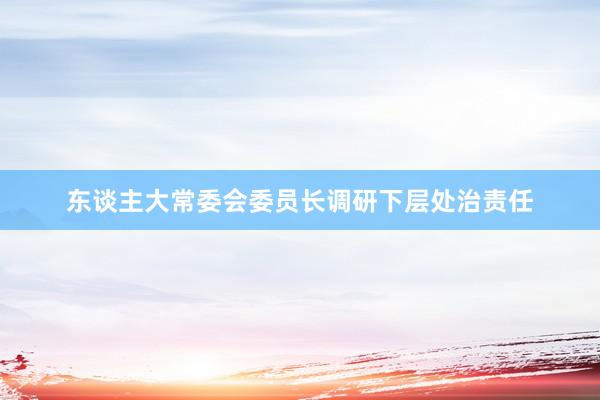 东谈主大常委会委员长调研下层处治责任