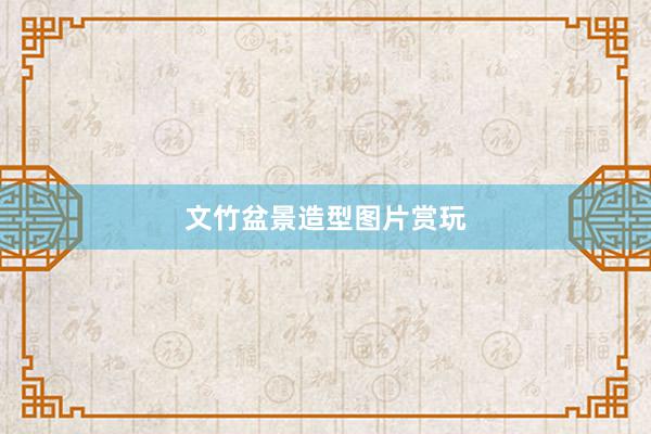 文竹盆景造型图片赏玩